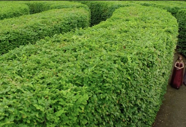 Картинки из сериала «Основание» 3 сезон